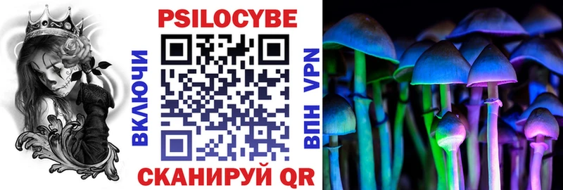 даркнет сайт  Ульяновск  Псилоцибиновые грибы MAGIC MUSHROOMS 